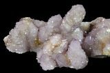 Cactus Quartz (Amethyst) Crystal Cluster - South Africa #132529-2